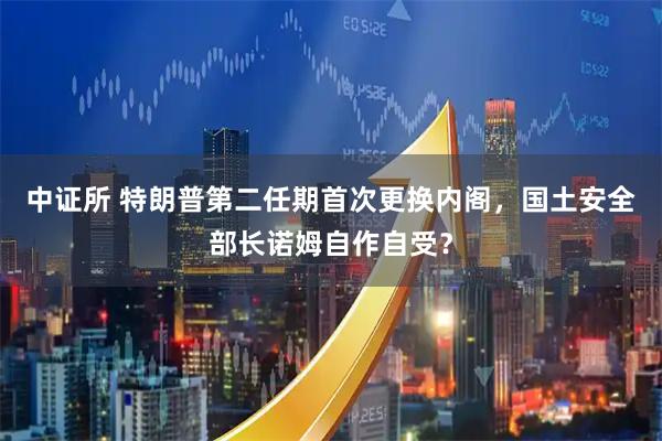 中证所 特朗普第二任期首次更换内阁，国土安全部长诺姆自作自受？