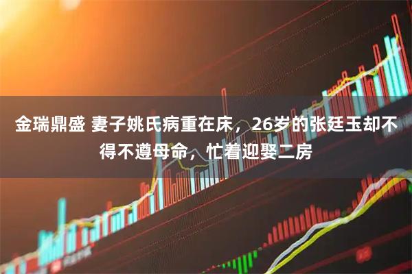 金瑞鼎盛 妻子姚氏病重在床，26岁的张廷玉却不得不遵母命，忙着迎娶二房