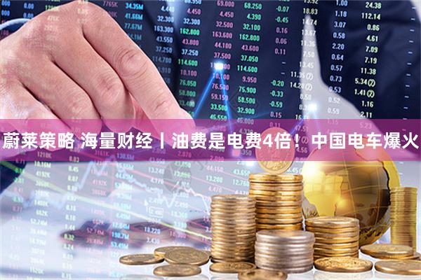 蔚莱策略 海量财经丨油费是电费4倍！中国电车爆火