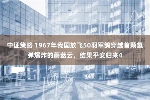 中证策略 1967年我国放飞50羽军鸽穿越首颗氢弹爆炸的蘑菇云，结果平安归来4