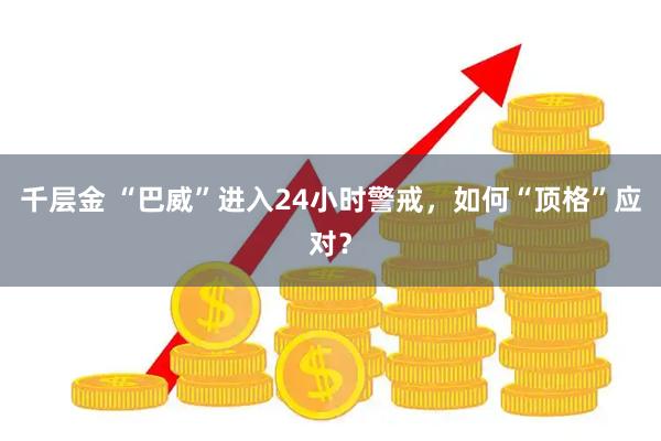 千层金 “巴威”进入24小时警戒,如何“顶格”应对?
