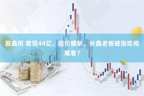 股鑫所 套现44亿，股价腰斩，长鑫老板被指吃相难看？