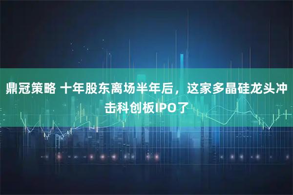 鼎冠策略 十年股东离场半年后，这家多晶硅龙头冲击科创板IPO了