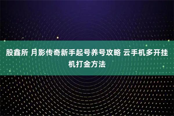 股鑫所 月影传奇新手起号养号攻略 云手机多开挂机打金方法