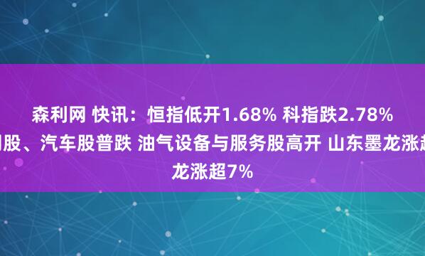 森利网 快讯：恒指低开1.68% 科指跌2.78% 科网股、汽车股普跌 油气设备与服务股高开 山东墨龙涨超7%