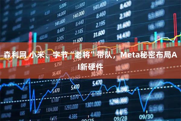 森利网 小米、字节“老将”带队，Meta秘密布局AI新硬件