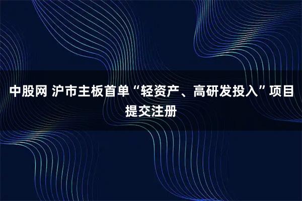 中股网 沪市主板首单“轻资产、高研发投入”项目提交注册