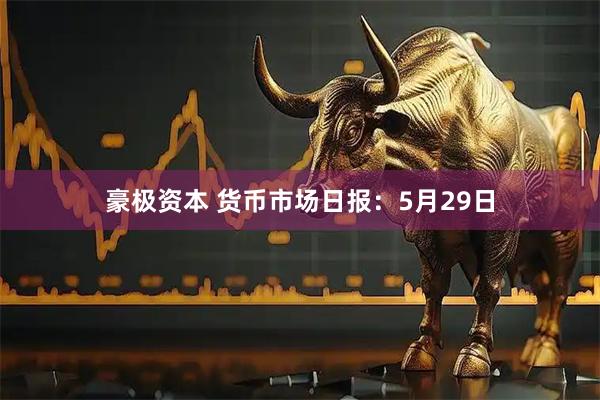 豪极资本 货币市场日报：5月29日