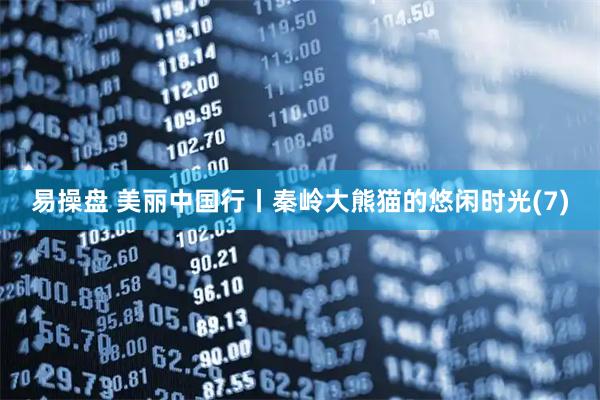 易操盘 美丽中国行丨秦岭大熊猫的悠闲时光(7)