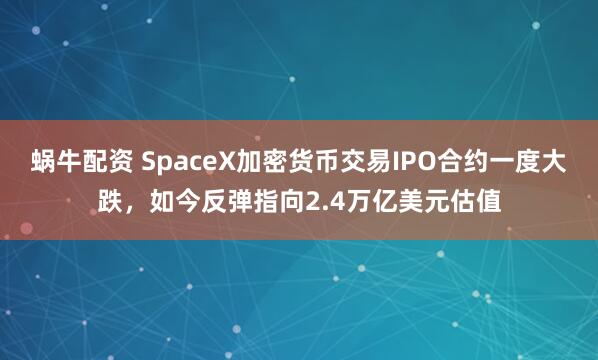 蜗牛配资 SpaceX加密货币交易IPO合约一度大跌，如今反弹指向2.4万亿美元估值
