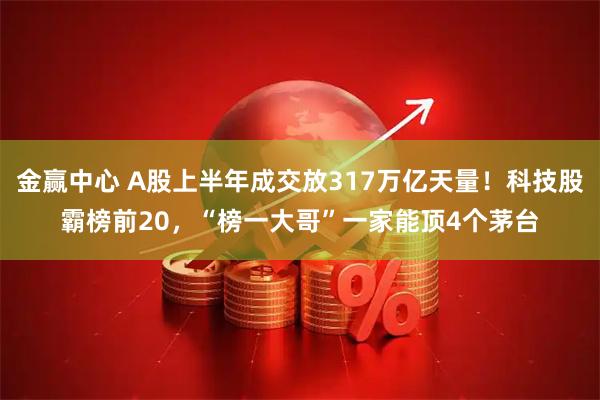 金赢中心 A股上半年成交放317万亿天量！科技股霸榜前20，“榜一大哥”一家能顶4个茅台