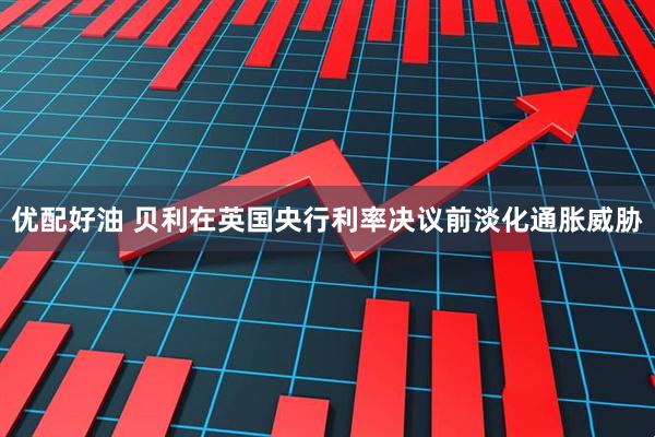优配好油 贝利在英国央行利率决议前淡化通胀威胁
