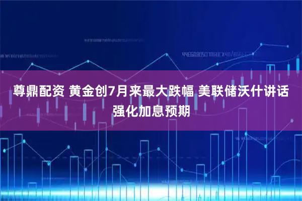尊鼎配资 黄金创7月来最大跌幅 美联储沃什讲话强化加息预期